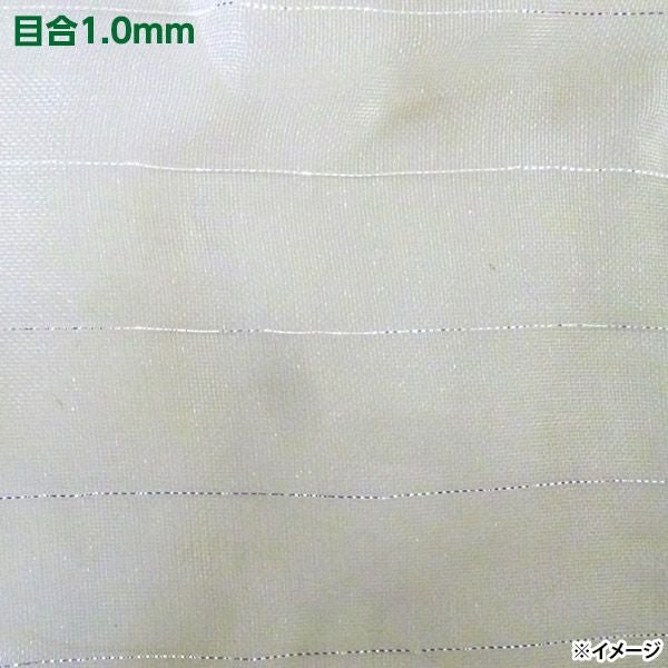 4582193312116_1.jpg