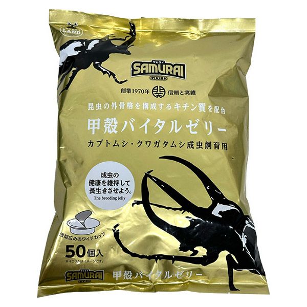 極上 本抹香鯨　虫　根付　重さ:45g. H4-4-3 Amazon | 【BIG HORN】ギラファノコギリクワガタ70UP成虫ペア オス