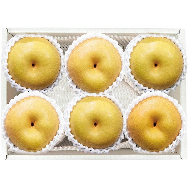 4550668020811_1.jpg