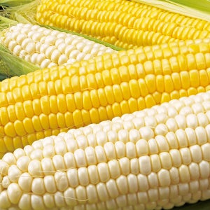 4550668559311.jpg