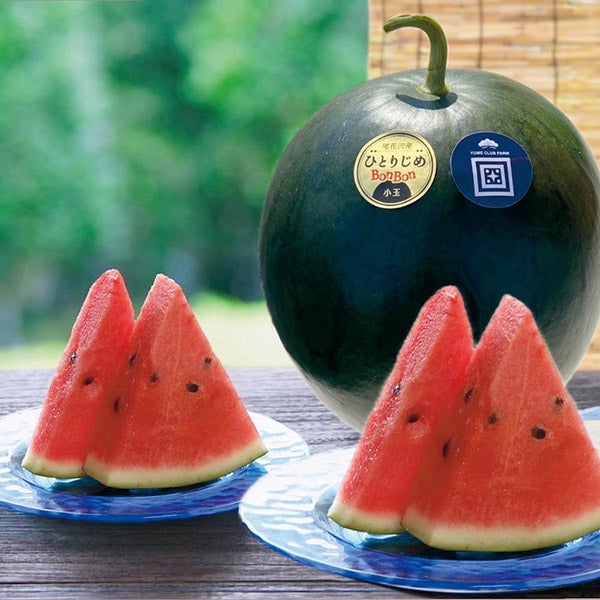 4550668558406.jpg