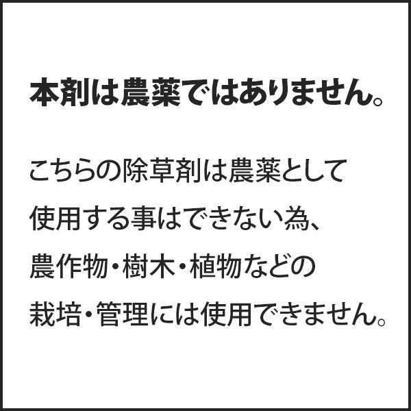 4974863624368_1.jpg