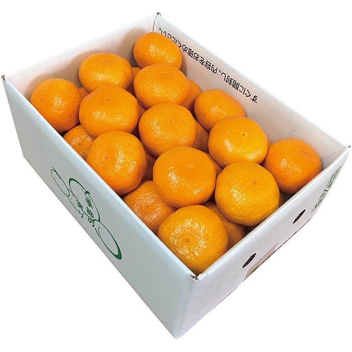 4550767340209.jpg